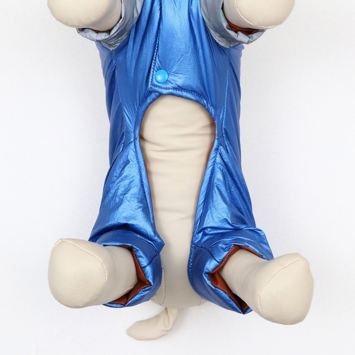 Комбинезон Комбинезон "Ультра", размер 14 (ДС 32 см, ОГ 42 см, ОШ 31 см), синий