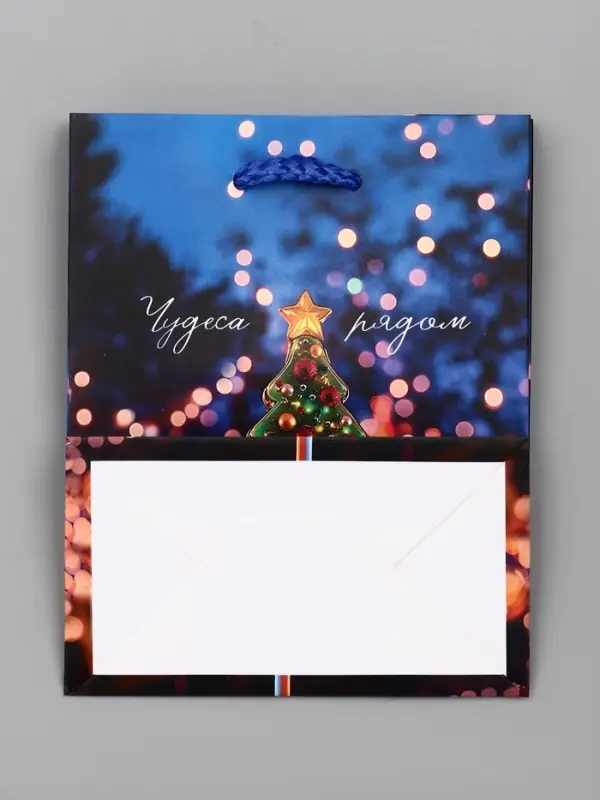 Пакет подарочный новогодний ламинированный, «Дед Мороз» , 11.5×6.5×14.5 см