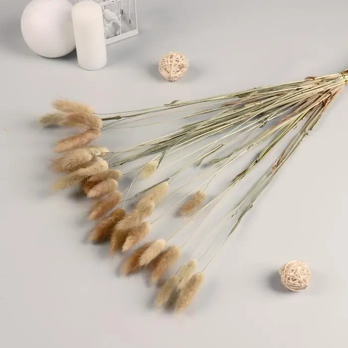Сухоцветы «Лагурус», h=65 см, (фасовка 30 шт., цена за 1 шт.), бежевые Сухоцветы «Лагурус», h=65 см, (фасовка 30 шт., цена за 1 шт.), бежевые