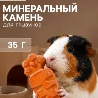 Минеральный камень для грызунов &laquo;Пижон&raquo;, морковка, 35 г