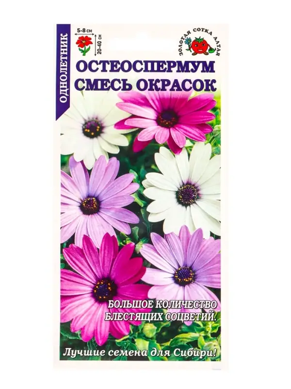 Семена Остеоспермум смесь /Сотка/ 0,1г/ h-40см, d-8см/*1200 Семена Остеоспермум смесь /Сотка/ 0,1г/ h-40см, d-8см/*1200