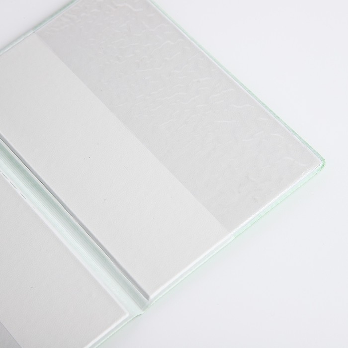 Обложка для паспорта, цвет салатовый Обложка для паспорта, цвет салатовый