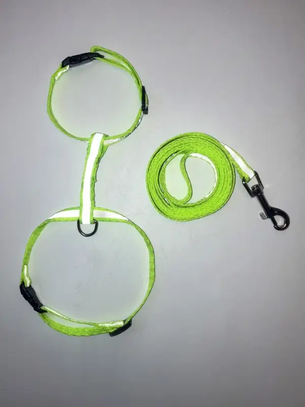 Комплект для кошек светоотражающий, ширина 1 см, шлейка 21-35 см, поводок 120 см, зелёный