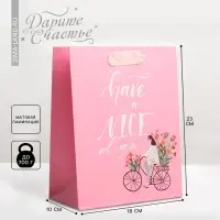 Пакет подарочный ламинированный, упаковка, &laquo;Have a nice day&raquo;, MS 18&times;23&times;10 см