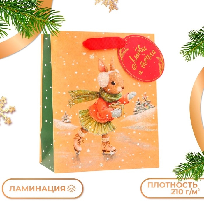 Новый год. Пакет подарочный Новый год. Пакет подарочный "Зайка на льду", 18 х 22,3 х 10 см.