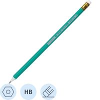 Карандаш чернографитный Выбор есть, НВ, пластик, с ласт, зелен.корп,12шт/уп