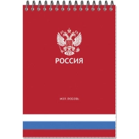Блокнот А5 Россия 50л УФ лак клетка, спираль 2 дизайна, ассорти, 3344