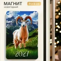 Магнит новогодний &laquo;Символ года 2027&raquo;