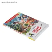 Книга детская &laquo;Лесные сказки&raquo;, 96 стр., Сладков Н.И.