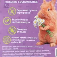 Сено луговое &laquo;Пижон&raquo; лепестки ромашки, для грызунов, 20 л, 500 г