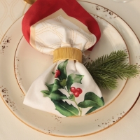 Набор столовый Christmas wreath скат.150х220см +/-3см с ВГМО, салф.40х40см-12 шт, 100%хл