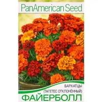 Семена цветов Бархатцы Файерболл отклоненные  Спецсерия PanAmerican, Ц/П,5 шт.