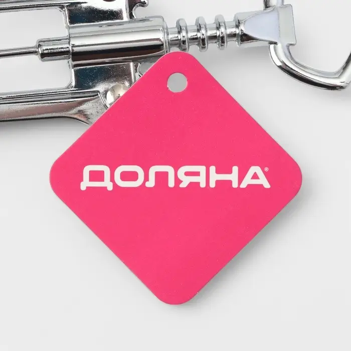 Штопор для вина Доляна &laquo;Мастер&raquo;, 16 см, цвет серебристый