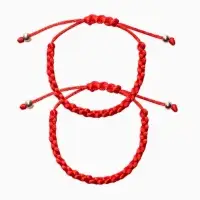 Браслет-оберег набор 2 шт &laquo;Красная нить&raquo;, косичка, бусины, цвет красный  в золоте