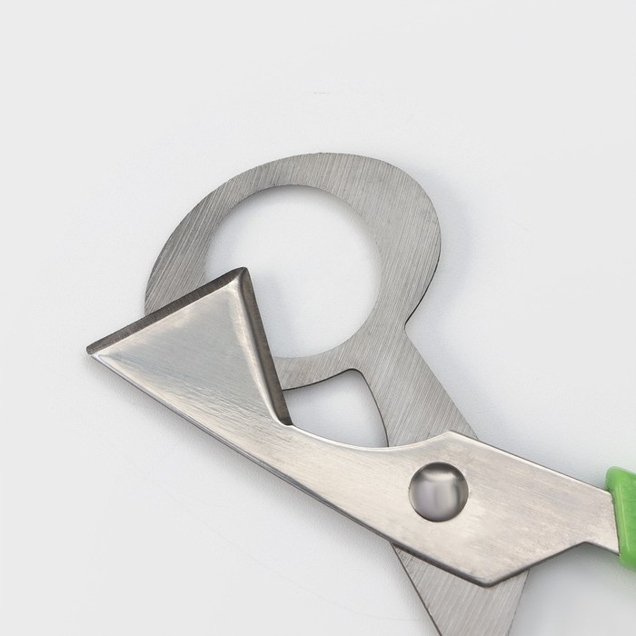 Ножницы для перепелиных яиц Доляна, 14×6 см, цвет зелёный Ножницы для перепелиных яиц Доляна, 14×6 см, цвет зелёный