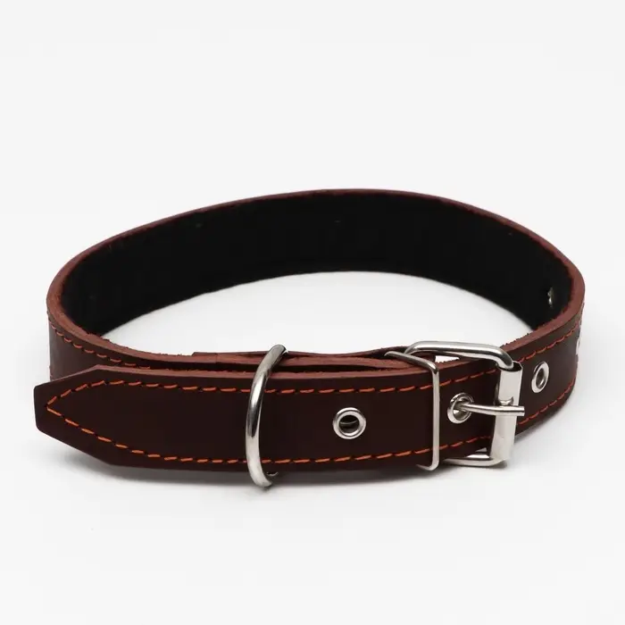Ошейник кожаный на синтепоне, 65&times;3 см, ОШ 40-55 см, коричневый