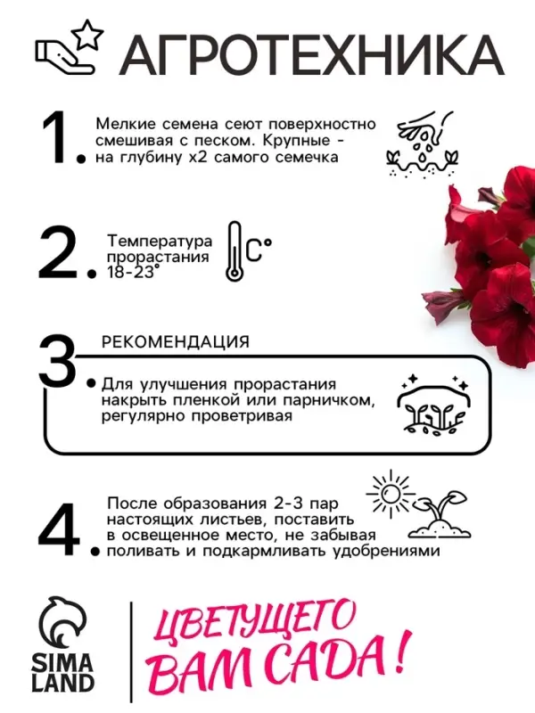 Семена цветов Петуния &laquo;Мамбо&raquo;, F1, пурпурная, многоцветковая, 7 шт., &laquo;Аэлита&raquo;