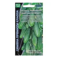 Семена Огурец &laquo;Сибирская Гирлянда&raquo;, F1, скороспелый, партенокарпический, 5 шт., &laquo;Уральский дачник&raquo;