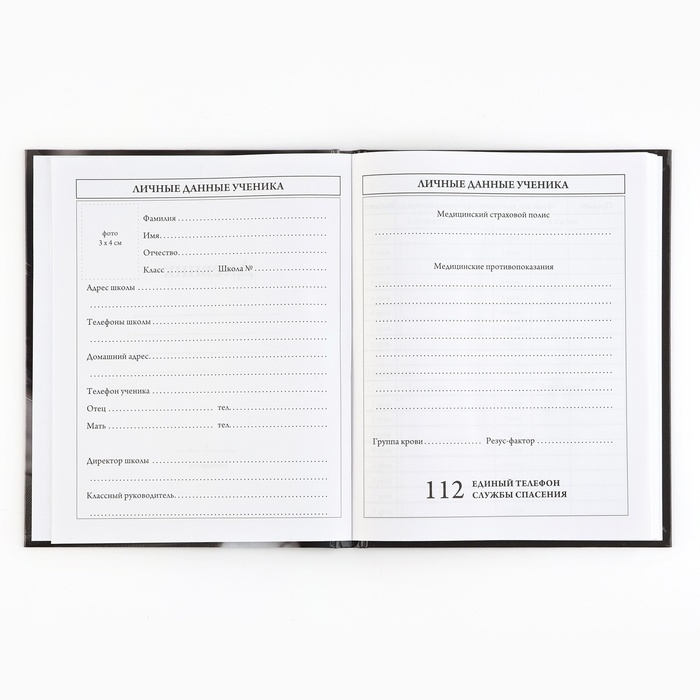 Дневник школьный 5-11 класс, в твердой обложке, 48 л. «Кошка» Дневник школьный 5-11 класс, в твердой обложке, 48 л. «Кошка»