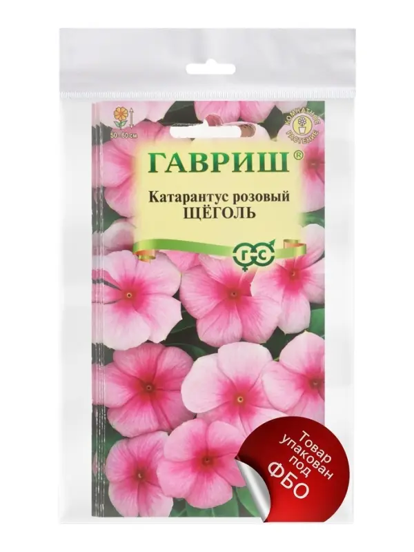 Набор семян комнатных Барвинок &laquo;Щеголь&raquo;, 5 шт.