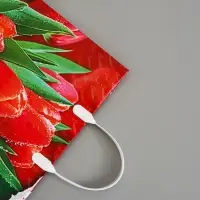 Пакет &laquo;Браво&raquo;, мягкий пластик, 30&times;30 см, 150 мкм