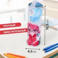 Пенал - тубус школьный Calligrata &laquo;Аниме&raquo;, на молнии, 1 отделение, МИКС