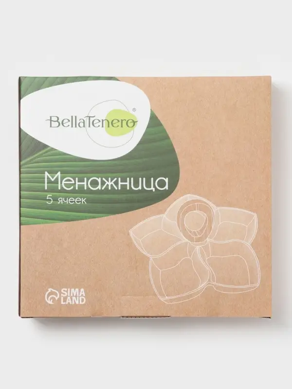 Менажница 5 ячеек BellaTenero, 25&times;25 см, фарфор, белая