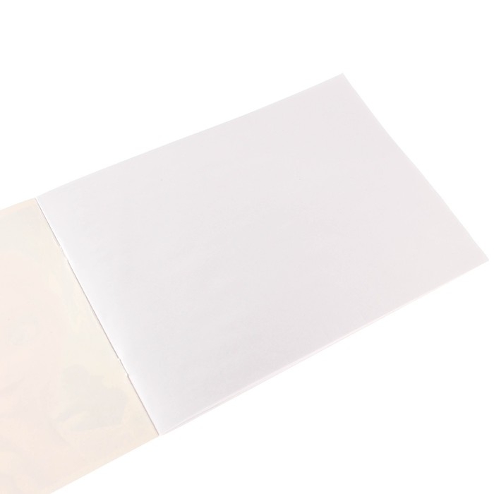 Альбом для рисования А4, 24 листа 100 г/м², на скрепке, Минни Маус и единорог Альбом для рисования А4, 24 листа 100 г/м², на скрепке, Минни Маус и единорог