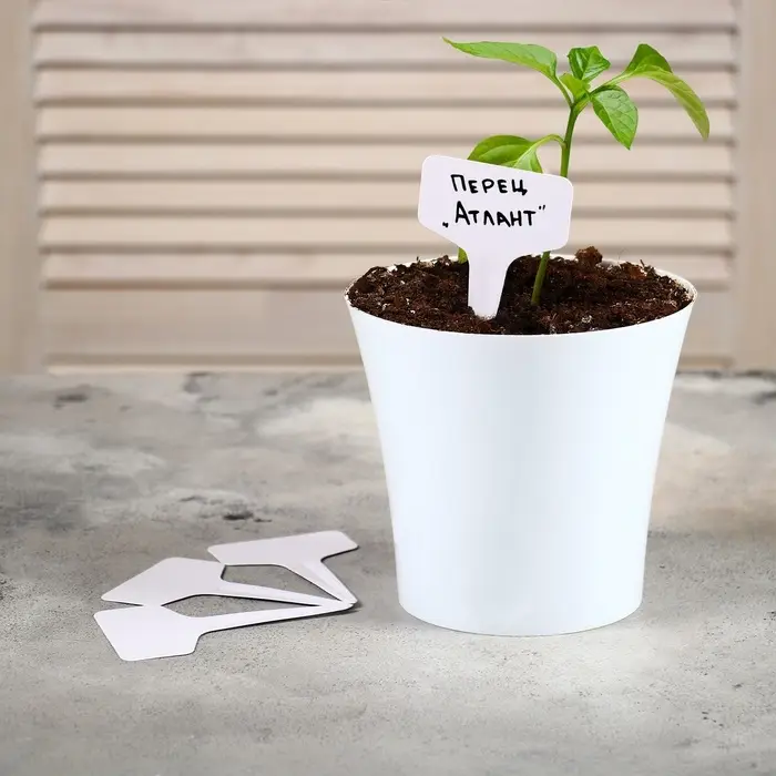 Таблички садовые, для маркировки растений, 10 см, набор 20 шт., пластик, МИКС, Greengo