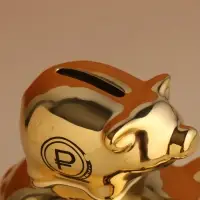 Копилка для денег &laquo;Свинки: Накопилка&raquo;, керамика, золотая, 12.5&times;8&times;14 см