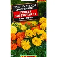 Семена цветов Бархатцы Лучшие бордюрные F1 прямостоячие, смесь сортов , Ц/П,10 шт. Семена цветов Бархатцы Лучшие бордюрные F1 прямостоячие, смесь сортов , Ц/П,10 шт.