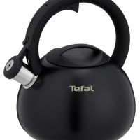Чайник Kettle ss induction N4180417, для всех видов плит
