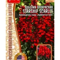 Семена цветов Лобелия Starship Scarlet, 3 шт. драже 12.29 г