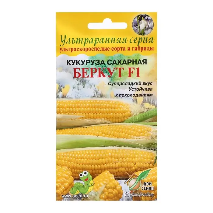 Семена Кукуруза сахарная &laquo;Беркут&raquo;, F1, 8 шт., ультраранняя, &laquo;Дом семян&raquo;