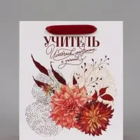 Подарочный набор &laquo;Учитель&raquo;, пакет и открытка, ML 27 &times; 23 &times; 11,5 см