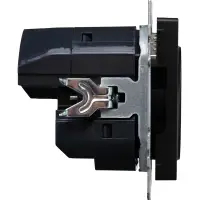 BRITE Розетка с заземлением с защитными шторками 16А с USB A+C 18Вт РЮш11-1-БрЧ черный