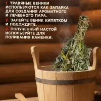 Веник для бани, мята, 45 (&plusmn; 5 см), &laquo;Добропаровъ&raquo;