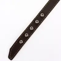 Ошейник однослойный "Красотка", 2.5 см, тиснение фольгой, микс цветов Ошейник однослойный "Красотка", 2.5 см, тиснение фольгой, микс цветов