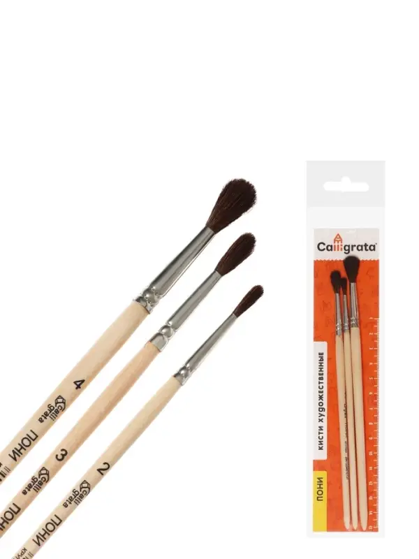 Набор кистей для рисования, пони, 3 штуки: № 2, 3, 4, Calligrata, круглые, деревянная ручка, в пакете