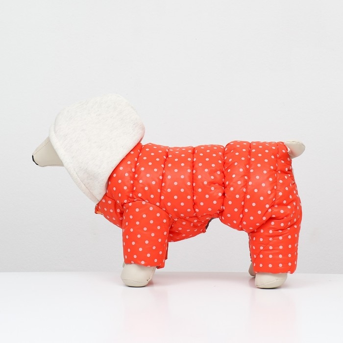 Комбинезон  Комбинезон "Для прогулки", размер 8 (ДС 19 см, ОГ 30, ОГ 22 см), оранжевый