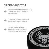 Шайба хоккейная Winter Star, взрослая, d=7.6 см