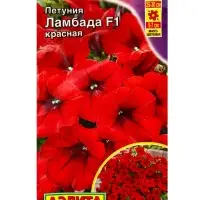 Семена цветов Петуния Ламбада F1 красная многоцветковая (драже) С. Hem Genetics, Ц/П,7 шт. Семена цветов Петуния Ламбада F1 красная многоцветковая (драже) С. Hem Genetics, Ц/П,7 шт.
