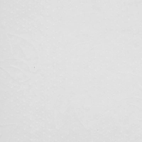 Бумага протирочная Protissue 1000л/рул 350м С241 2рул/уп