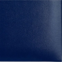 Папка адресная КОНКОРД, синий, А4