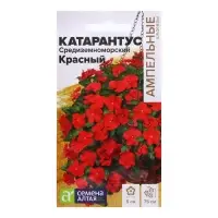 Семена Катарантус «Средиземноморский Красный», 5 шт., «Семена Алтая» Семена Катарантус «Средиземноморский Красный», 5 шт., «Семена Алтая»