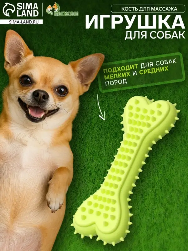 Игрушка жевательная литая &laquo;Кость для массажа&raquo;, 11&times;4&times;2 см, салатовая