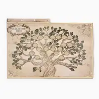 Родословная книга &laquo;Наш род&raquo;, с пером, 56 листов, коричневый, 35&times;25 см