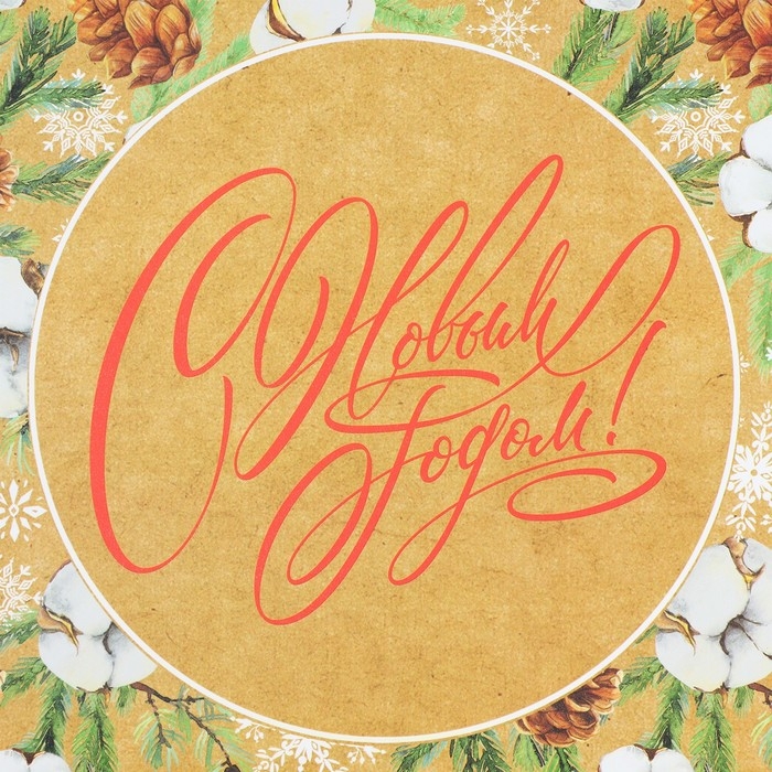 Коробка подарочная новогодняя складная «Новогодняя ботаника», 21 х 15 х 5 см Коробка подарочная новогодняя складная «Новогодняя ботаника», 21 х 15 х 5 см