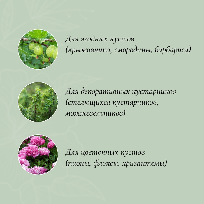 Кустодержатель, d=40 см, h=80 см, ножка d=0,3 см, металл, набор 2 шт., зелёный Кустодержатель, d=40 см, h=80 см, ножка d=0,3 см, металл, набор 2 шт., зелёный