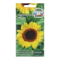 Семена Подсолнечник "Орешек", 5 г Семена Подсолнечник "Орешек", 5 г